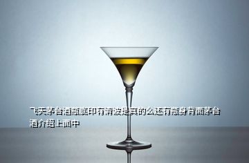 飛天茅臺(tái)酒瓶底印有清波是真的么還有瓶身背面茅臺(tái)酒介紹上面中