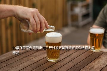 53度飛天茅臺(tái)酒倒出蟲(chóng)子經(jīng)過(guò)鑒定是真酒該怎么給客人解釋呢