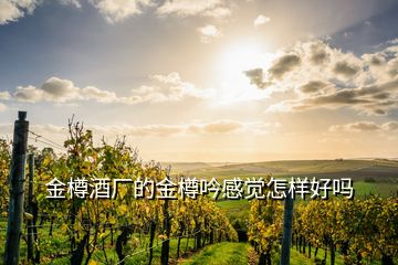 金樽酒廠的金樽吟感覺(jué)怎樣好嗎