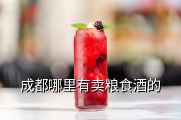 成都哪里有賣(mài)糧食酒的