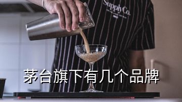 茅臺旗下有幾個品牌