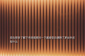 現(xiàn)在想多了解下市場我想問一下醬香型白酒除了茅臺(tái)外還有什么