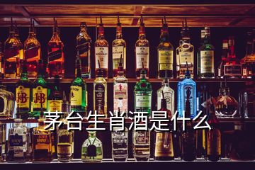 茅臺(tái)生肖酒是什么