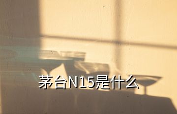 茅臺N15是什么