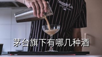 茅臺旗下有哪幾種酒