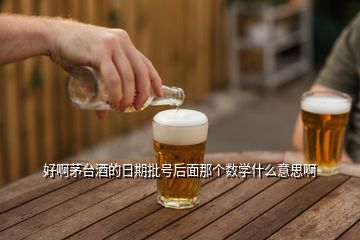 好啊茅臺(tái)酒的日期批號(hào)后面那個(gè)數(shù)學(xué)什么意思啊