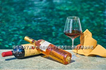 現(xiàn)在想多了解下市場我想問一下醬香型白酒除了茅臺外還有什么