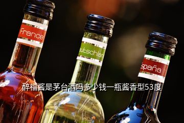 醉福醬是茅臺(tái)酒嗎多少錢一瓶醬香型53度