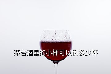 茅臺酒里的小杯可以倒多少杯