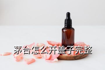 茅臺怎么開蓋子完整