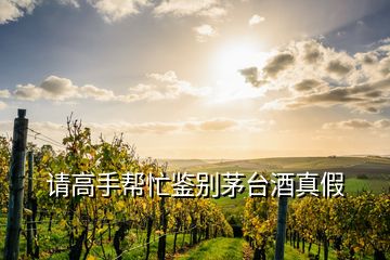 請高手幫忙鑒別茅臺(tái)酒真假