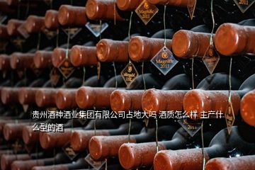 貴州酒神酒業(yè)集團有限公司占地大嗎 酒質(zhì)怎么樣 主產(chǎn)什么型的酒