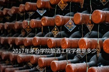 2017年茅臺學(xué)院釀酒工程學(xué)費是多少