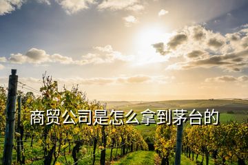 商貿(mào)公司是怎么拿到茅臺(tái)的