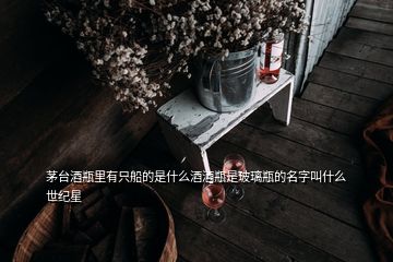 茅臺(tái)酒瓶里有只船的是什么酒酒瓶是玻璃瓶的名字叫什么世紀(jì)星