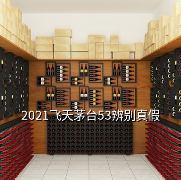 2021飛天茅臺53辨別真假