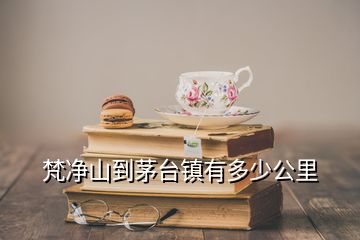 梵凈山到茅臺鎮(zhèn)有多少公里