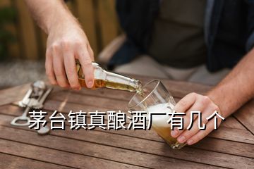 茅臺鎮(zhèn)真釀酒廠有幾個