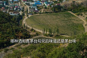 哪種酒和真茅臺勾兌后味道還是茅臺味