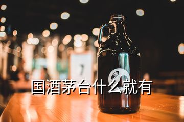 國(guó)酒茅臺(tái)什么就有