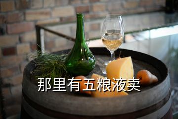 那里有五糧液賣(mài)