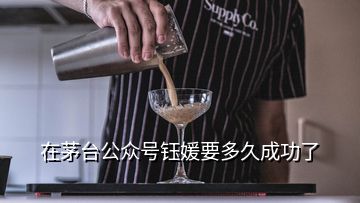 在茅臺公眾號鈺媛要多久成功了