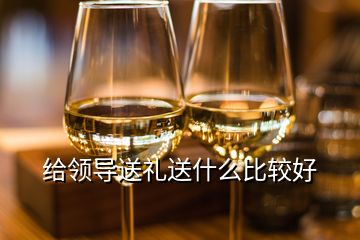 給領導送禮送什么比較好