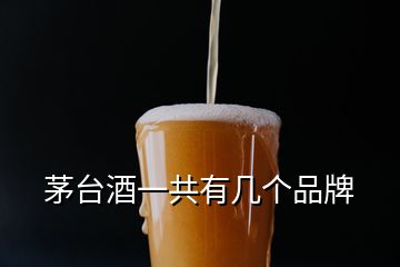 茅臺酒一共有幾個品牌