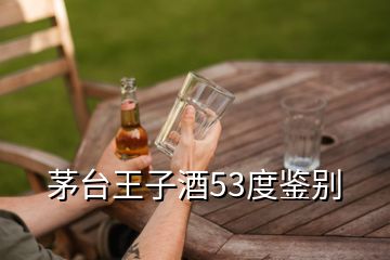 茅臺(tái)王子酒53度鑒別