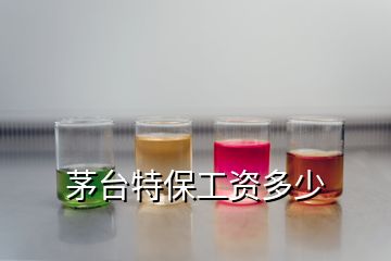 茅臺特保工資多少