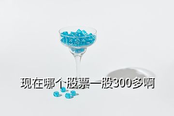 現(xiàn)在哪個股票一股300多啊