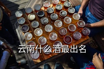 云南什么酒最出名