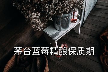 茅臺藍(lán)莓精釀保質(zhì)期