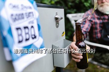 誰知道貴州除了茅臺還有什么酒比較好