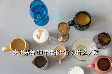 貴州茅臺 09年年報出了為什么大跌