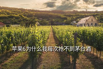 蘋果6為什么我每次搶不到茅臺(tái)酒