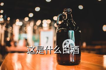 這是什么白酒