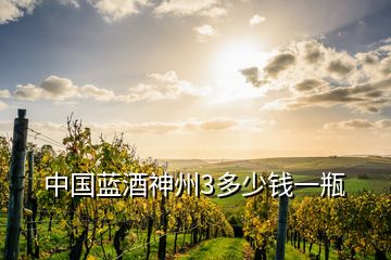 中國藍(lán)酒神州3多少錢一瓶