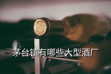 茅臺(tái)鎮(zhèn)有哪些大型酒廠