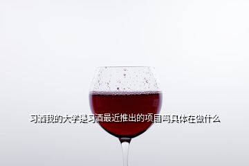 習(xí)酒我的大學(xué)是習(xí)酒最近推出的項目嗎具體在做什么