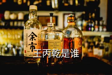王丙乾是誰
