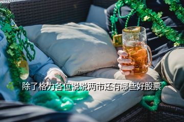 除了格力各位說說兩市還有哪些好股票