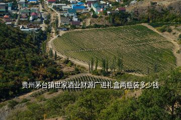 貴州茅臺(tái)鎮(zhèn)世家酒業(yè)財(cái)源廣進(jìn)禮盒兩瓶裝多少錢