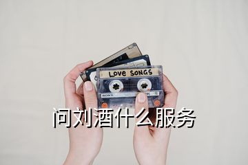 問(wèn)劉酒什么服務(wù)