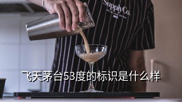 飛天茅臺53度的標識是什么樣