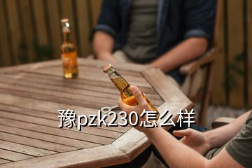 豫pzk230怎么樣