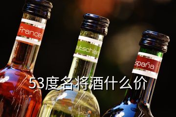 53度名將酒什么價