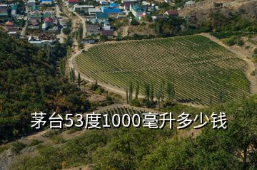 茅臺(tái)53度1000毫升多少錢