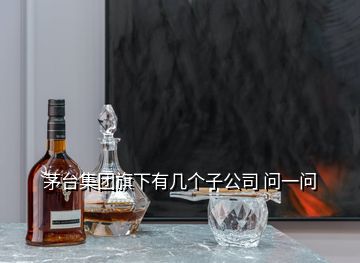 茅臺集團旗下有幾個子公司 問一問