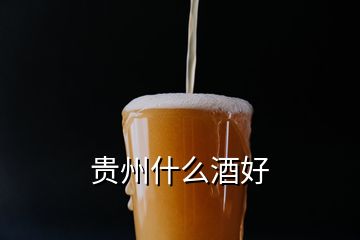 貴州什么酒好